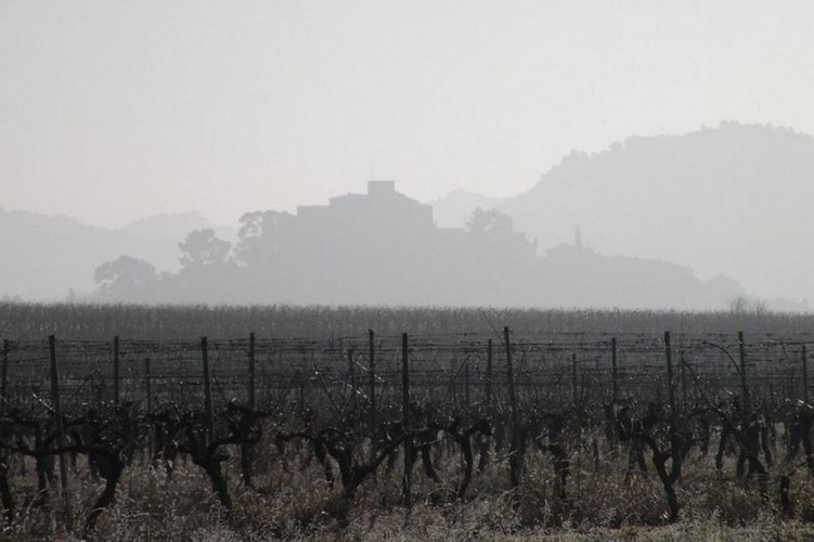 Ansouis sous la brume