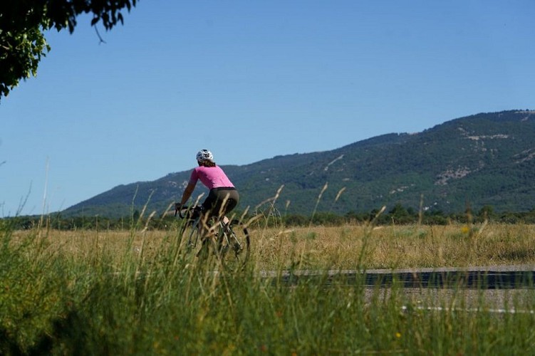 Plateau des Claparèdes et Grand Luberon