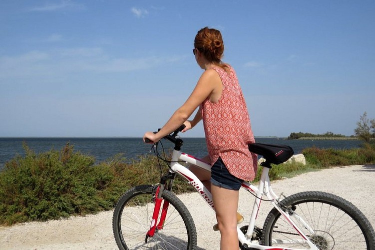 Cycliste le long du Vaccarès