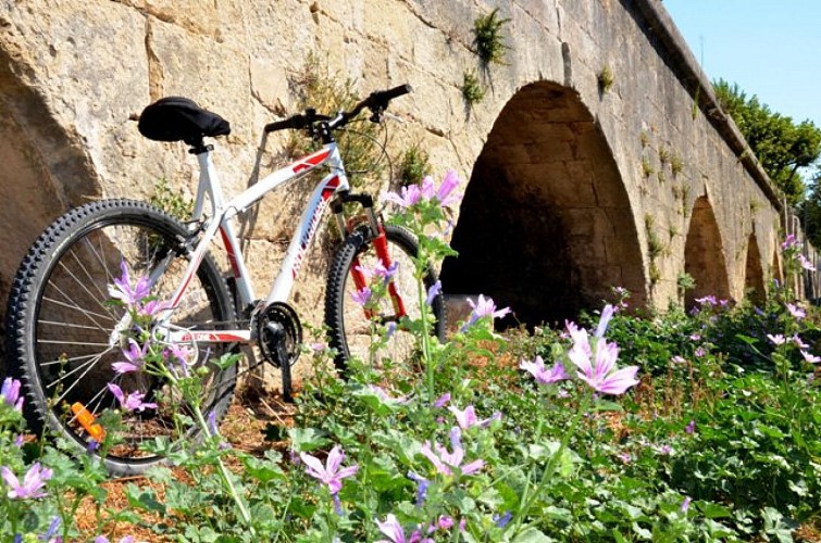 ARLES - Autour du canal de Craponne à vélo