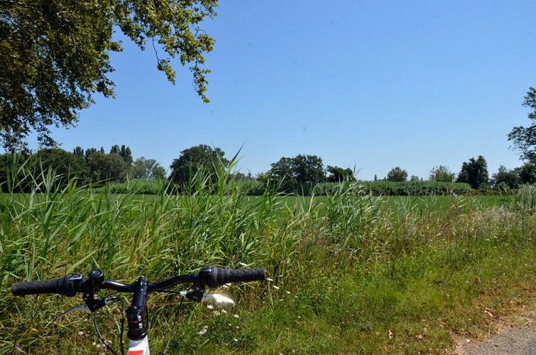 ARLES - De la Crau aux Marais du Vigueirat à vélo