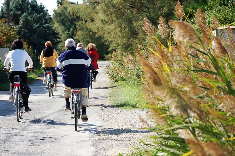 Cyclistes sur le chemin de Palun Longue