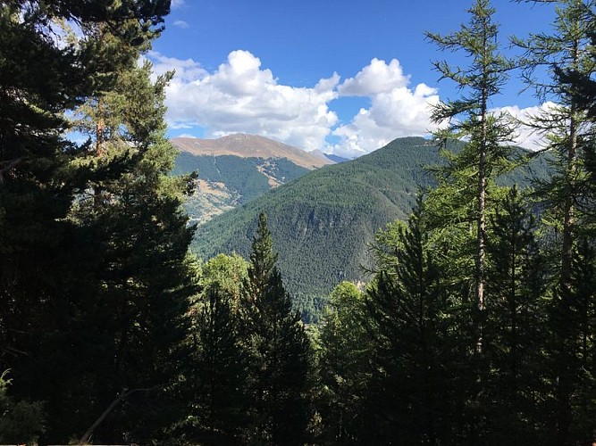 Belvédère du lac de Roue