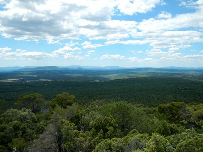 Vue sur les collines du haut Var