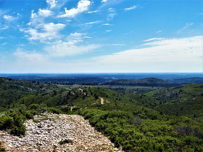 Vue sur la plaine de la Crau