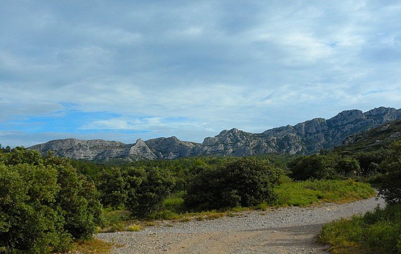 Vue sur le mont Mazette