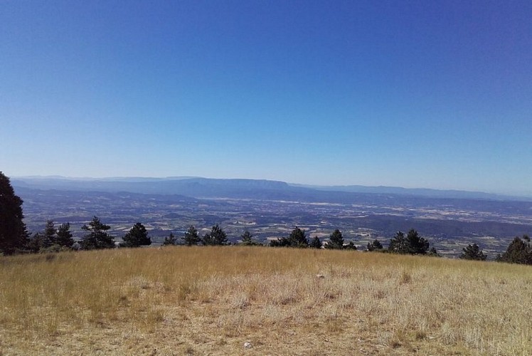 La Sainte-Victoire depuis le Mourre Nègre