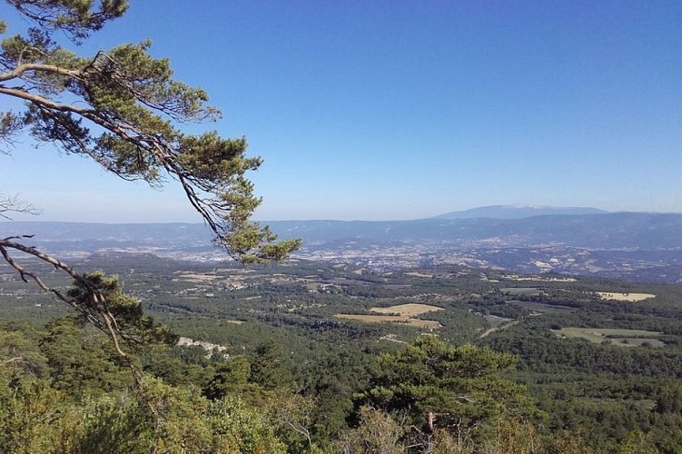 Les Claparèdes et le Mont-Ventoux