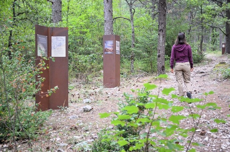 Médiation sur le Sentier du reboisement