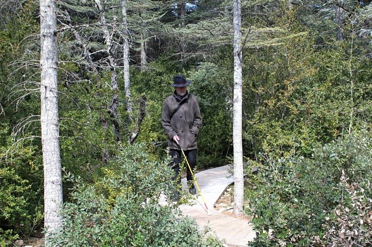 Passage du labyrinthe