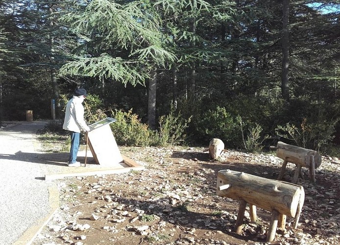 Aire d'interprétation