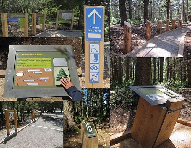 Chemin des cèdres, labellisé Tourisme Handicap