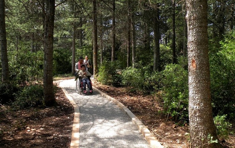Sur le Chemin des Cèdres