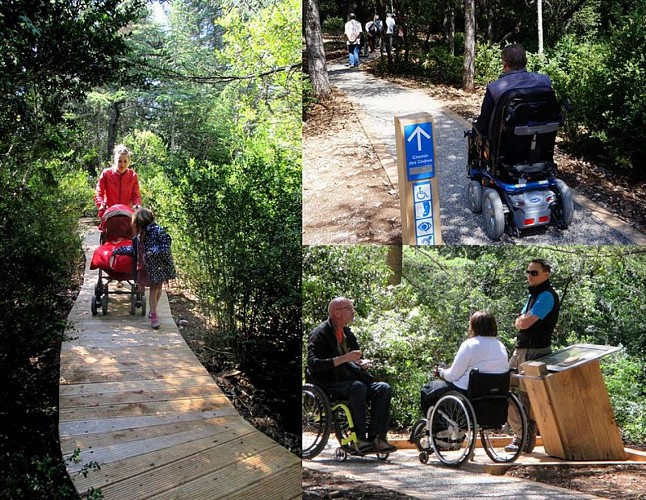 Chemin des cèdres, accessible à tous...