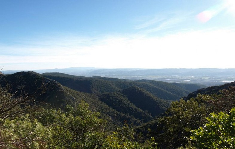 La Sainte-Victoire depuis le Portalas