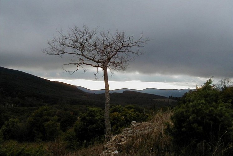 Chemin des Ramades un soir d'orage