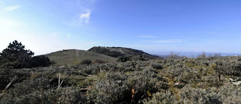 Pelouses sommitales du Grand Luberon à l'automne
