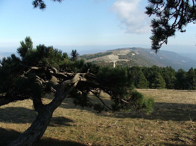 Crêtes du Grand Luberon