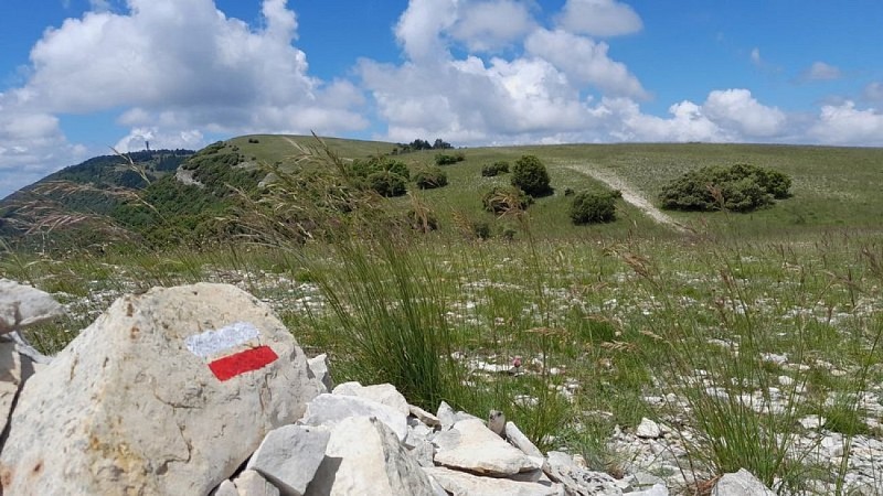 Sur les crêtes du Grand Luberon