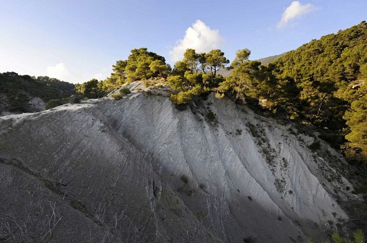 Affleurements marneux