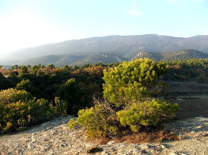 À l'amorce du sentier géole