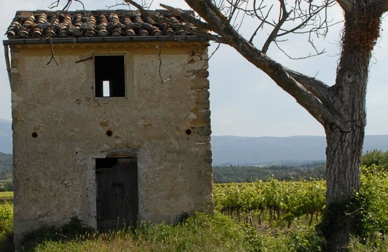 Cabanon typique du sud Luberon