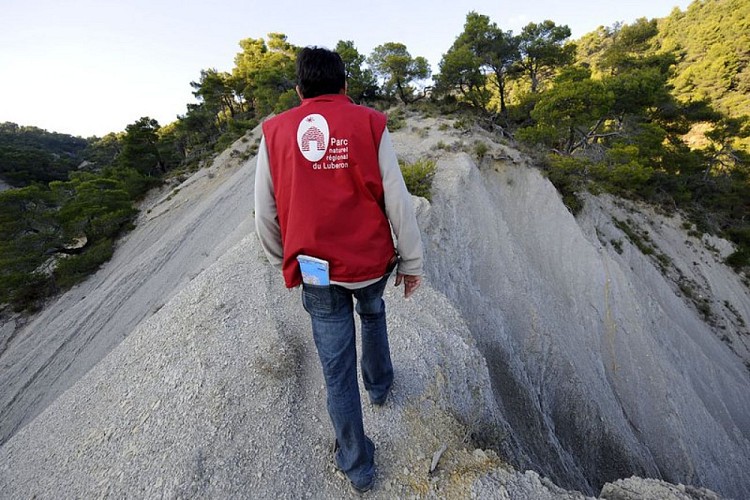 Affleurements marneux