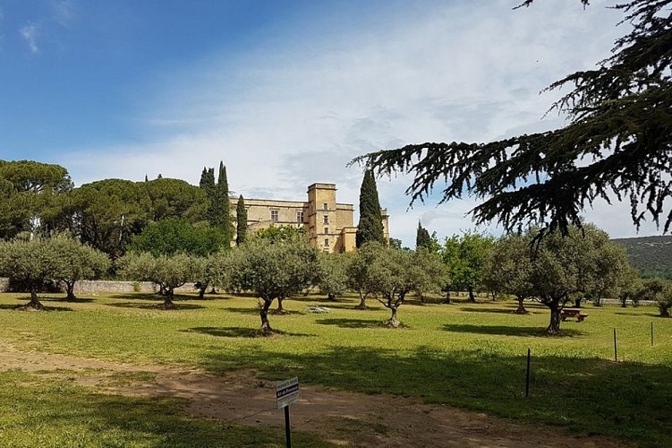 Le Château de Lourmarin