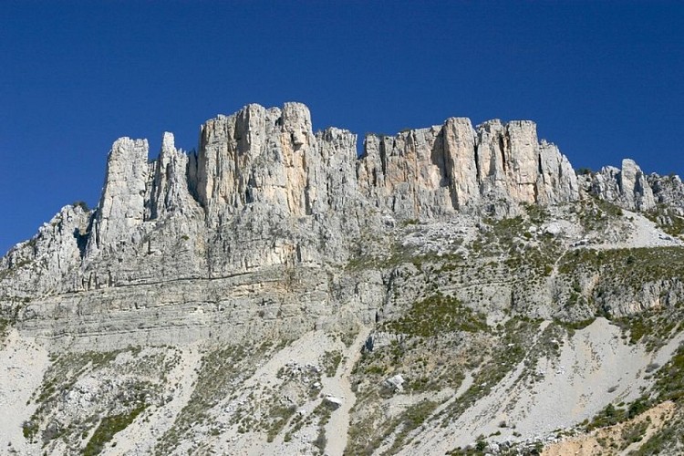 Les Cadiéres de Brandis