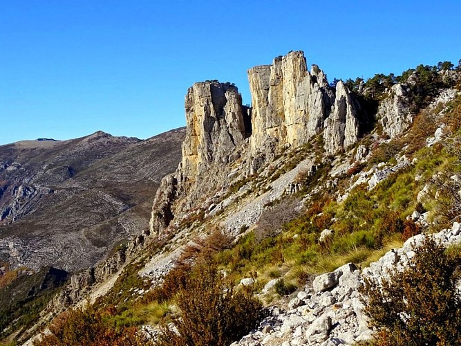 Les Cadiéres de Brandis