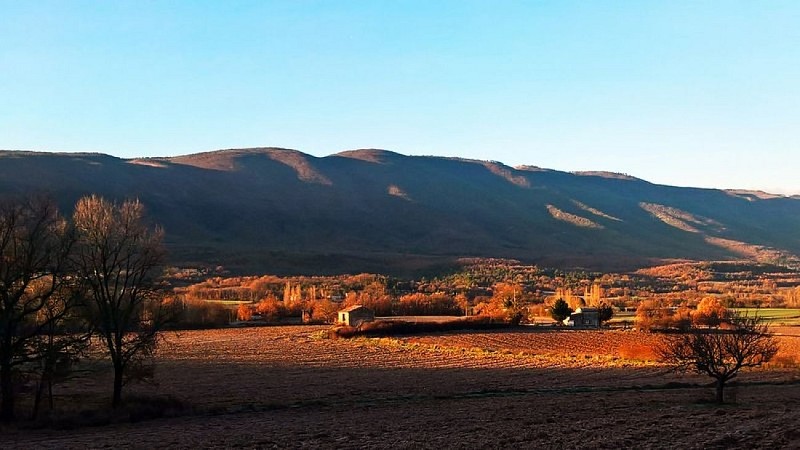 Grand Luberon depuis le pied ouest de La Gardette