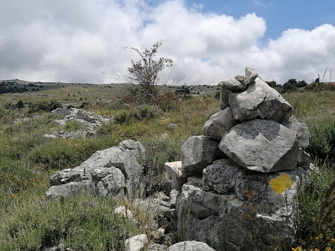 CIPIÈRES - Plateau de Calern