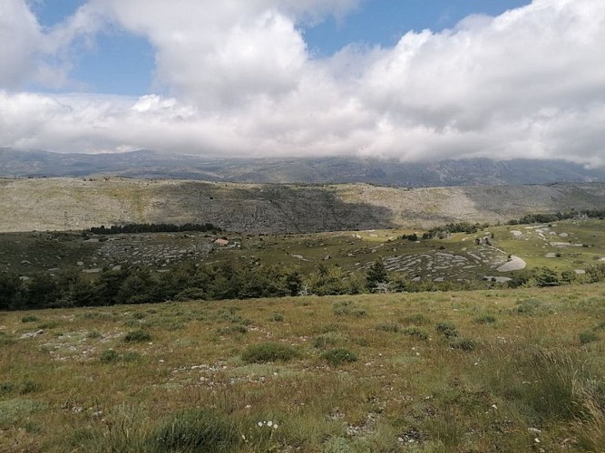 CIPIÈRES - Plateau de Calern