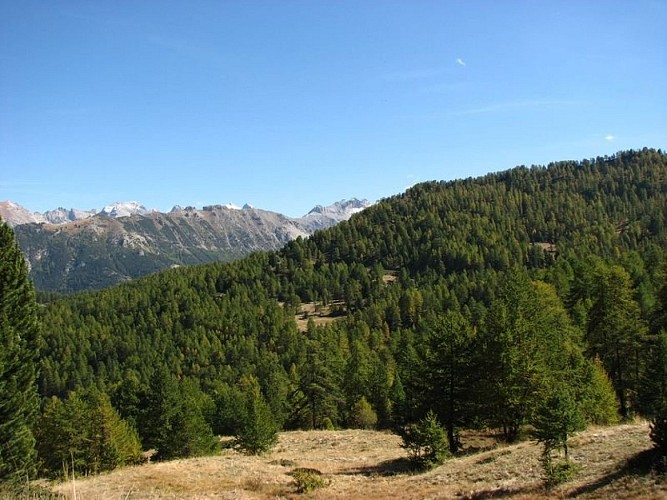 Forêt de Risoul et sommets environnants