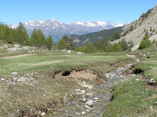 Vers le lac du Lauzet
