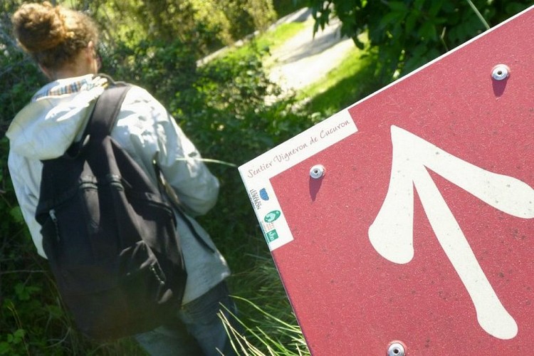 Signalétique "Sentier Vigneron"