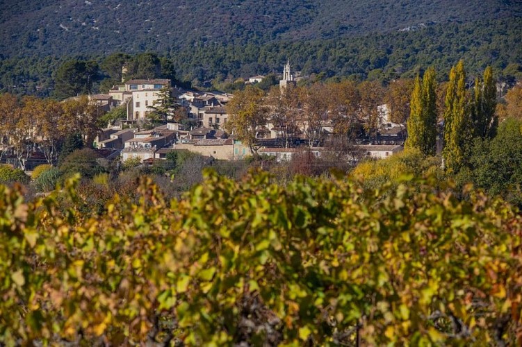 Vignes et village de Cucuron