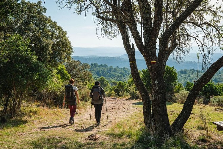 Balade dans la colline