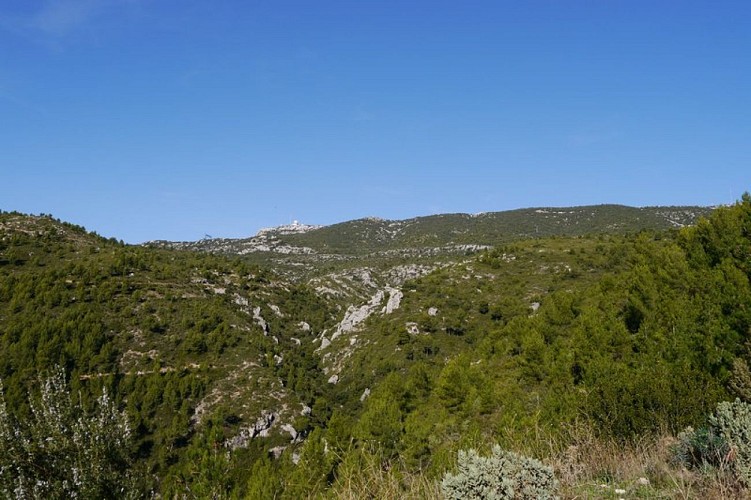 Le pic de Bertagne au loin, le long du parcours