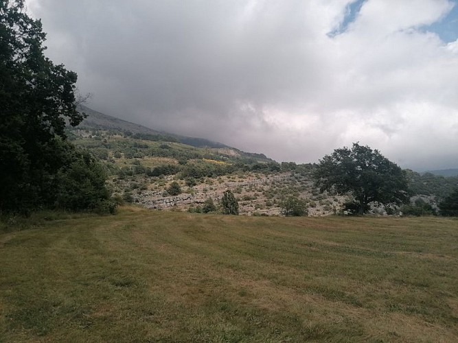 ESCRAGNOLLES - Plateau de Briasq