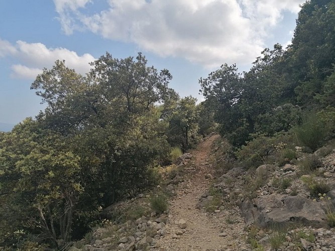 ESCRAGNOLLES - Plateau de Briasq