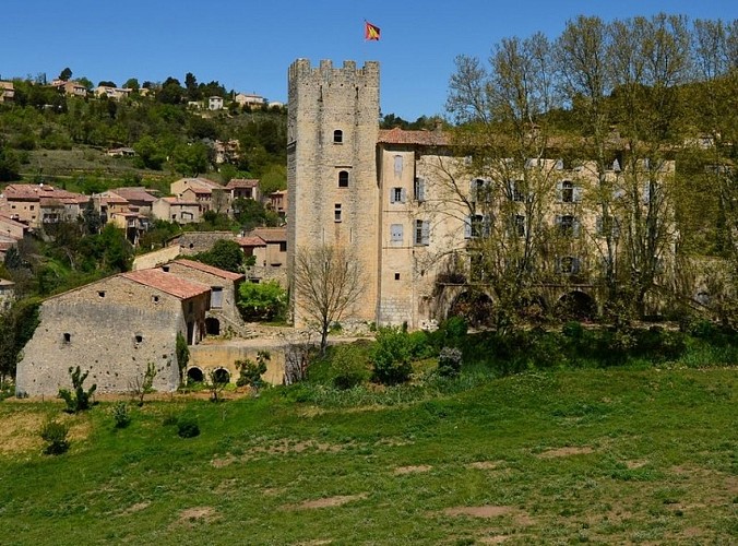 Le château d'Esparron de Verdon
