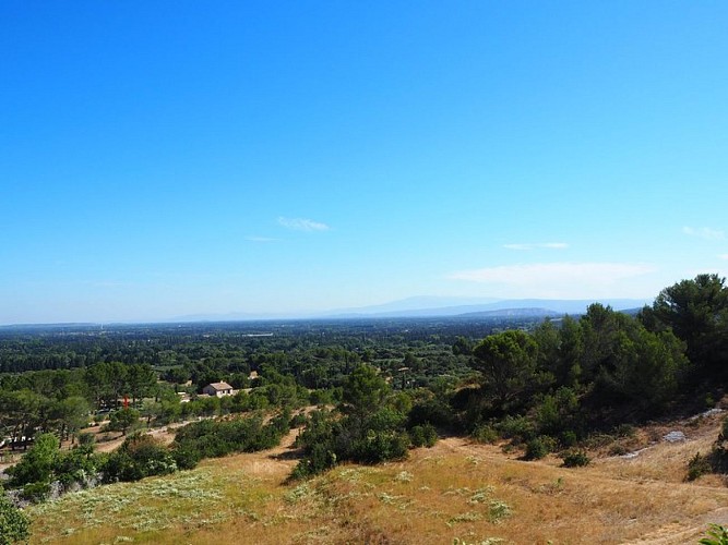 Vue sur la plaine d'Eygalières
