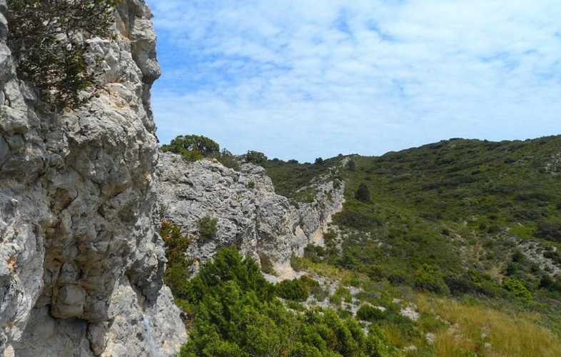 Le long du chemin de Baume Brignolle