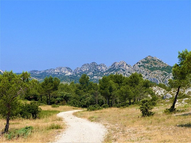 Vue sur la crête des Alpilles