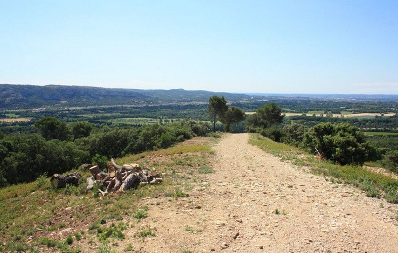 Vue sur le piémont sud des Alpilles