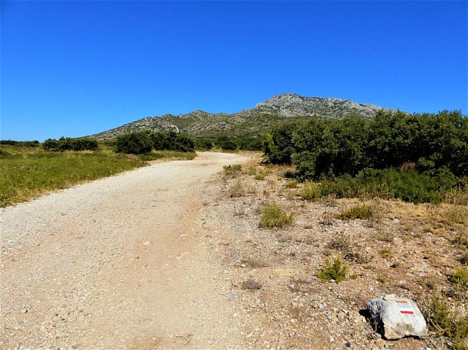 Chemin au pied des Opies