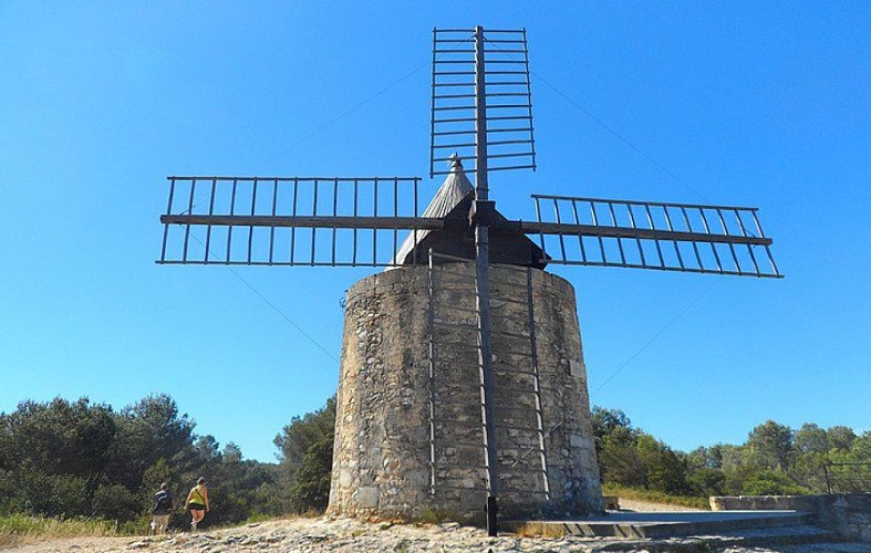 Promenade près des moulins de Daudet