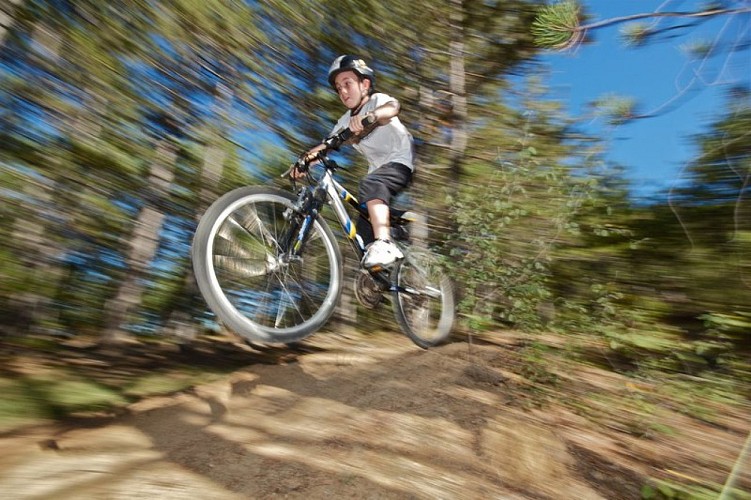 Dans le sous bois de Charembeau