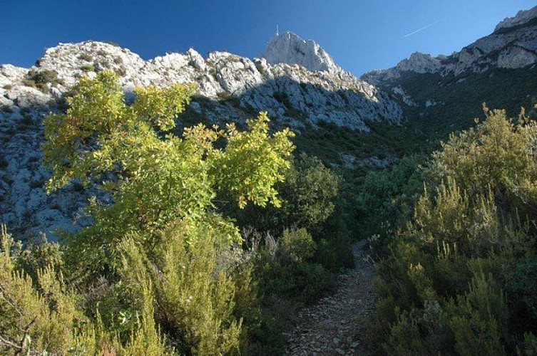 La vue sur le pic de Bertagne le long du parcours